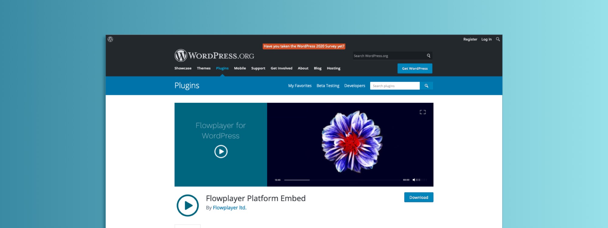 WordPress Video: Choosing a Player & Hosting Option